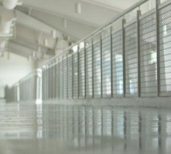 100 Grit Diamabrush Spring 6.5" Replacement Blades (18 per box) - Onfloor